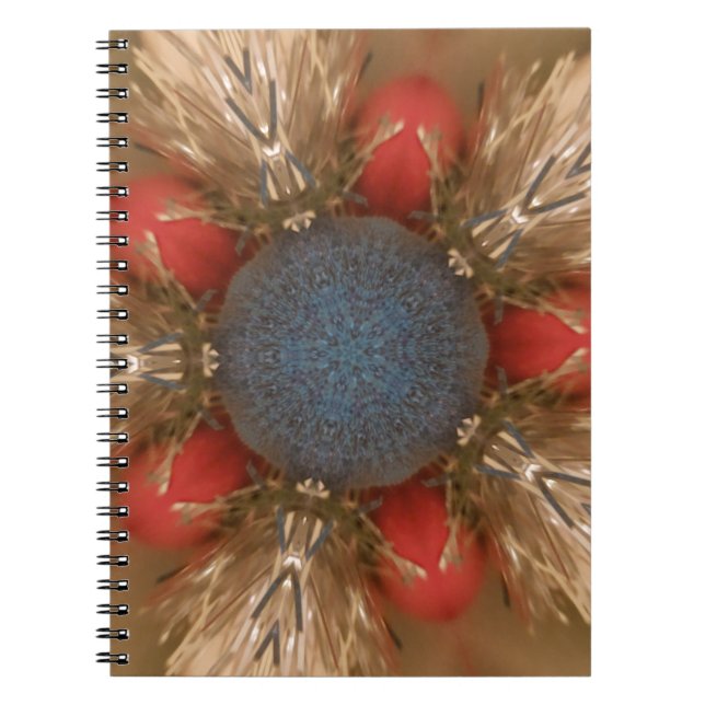Carnet Baubles de décoration de Noël rouge bleu (Devant)