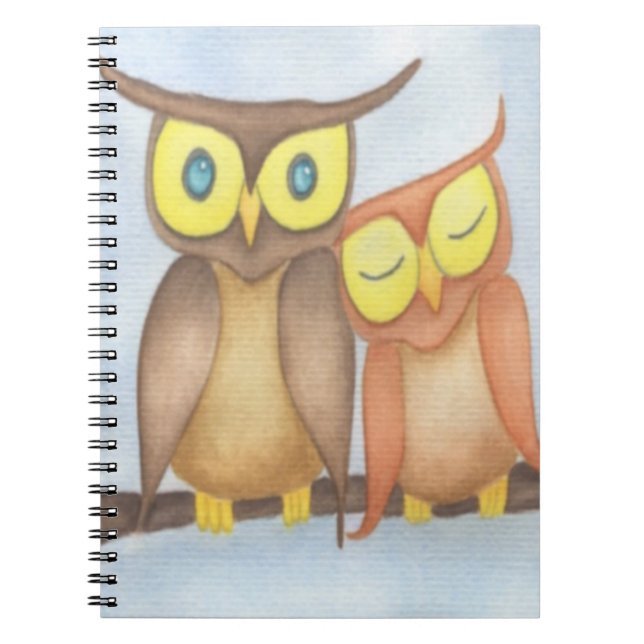 Carnet Beau Aquarelle Chouette Amateurs (Devant)