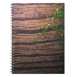 Carnet beau bois ancien