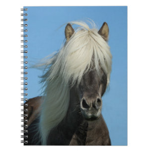Carnet Beau Cheval