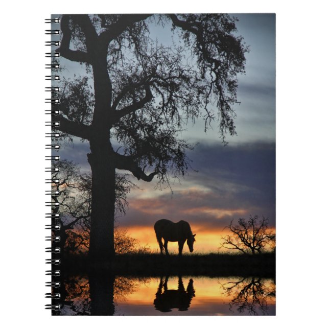 Carnet Beau Cheval et eau au coucher du soleil (Devant)