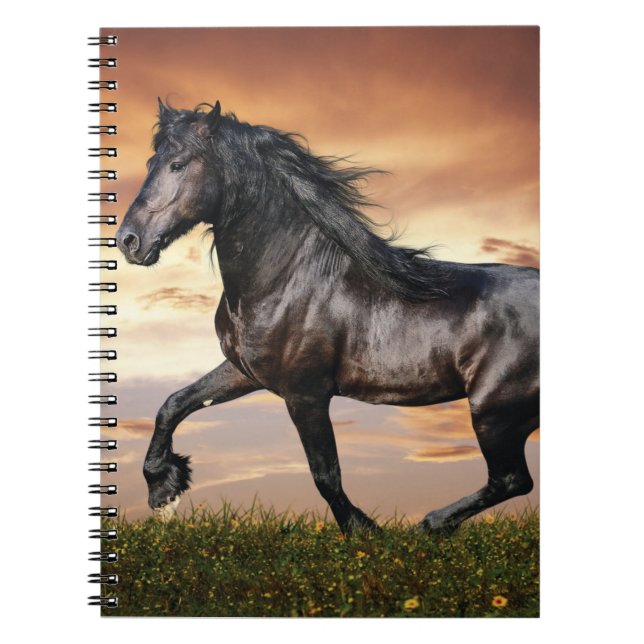 Carnet Beau Cheval Noir (Devant)