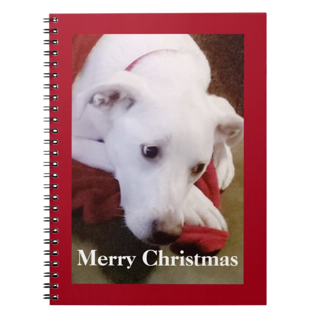 Carnet Beau Chien Noël Blanc Neigeux Rouge (Devant)