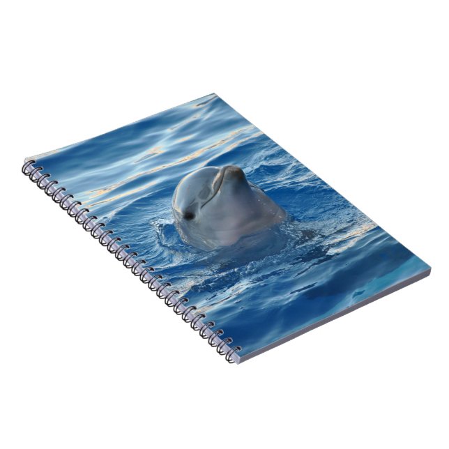 Carnet Beau dauphin (Côté Droit)