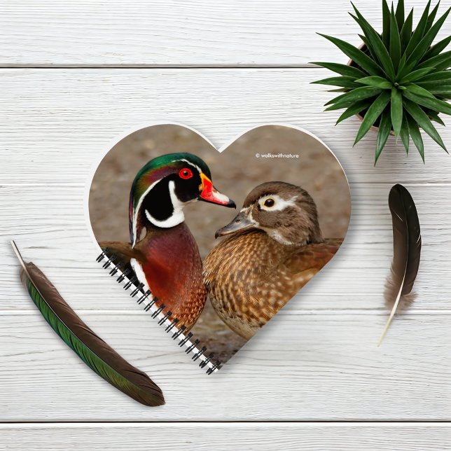 Carnet Beau moment de contact entre des canards en bois (A Touching Moment Between Wood Ducks Journal Cover Photo)