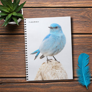 Carnet Beau oiseau bleu de montagne à la plage