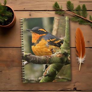 Carnet Beau oiseau-chanteur à gorge variée dans l'arbre