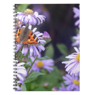 Carnet Beau Papillon Sur Fleurs