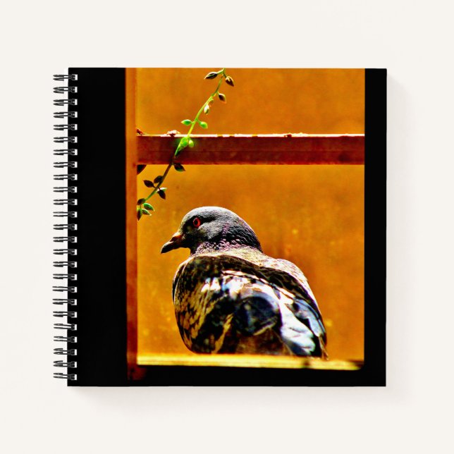 Carnet Beau Pigeon (Devant)