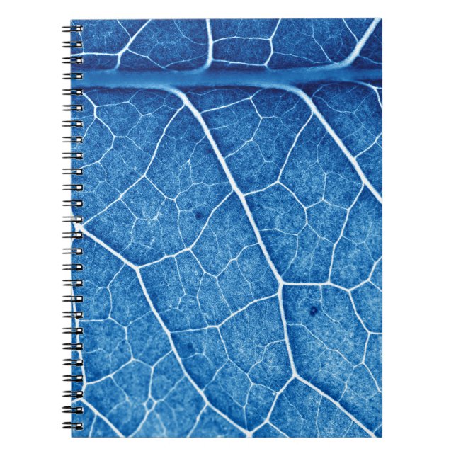 Carnet Beau Plante Closeup Texture Arrière - plan (Devant)