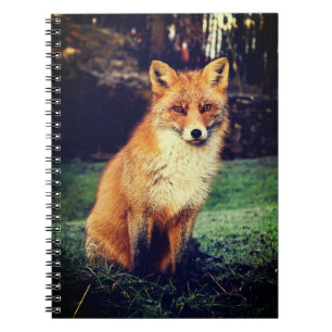 Carnet Beau Renard Rouge