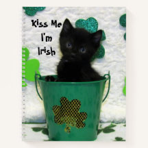Beau Shamrock Jack - Chat / Kitten Spiral