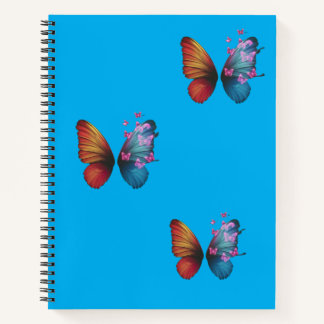 Carnet beauté