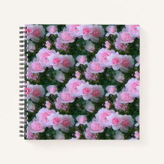 Carnet Beauté délicate....