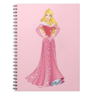 Carnet Beauté dormante Princesses !
