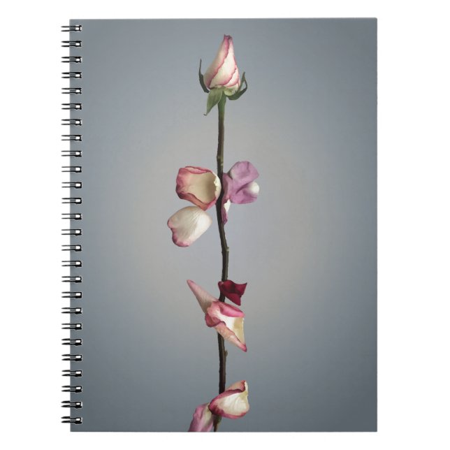 Carnet Beauté Rose moderne et sentiment de bête (Devant)