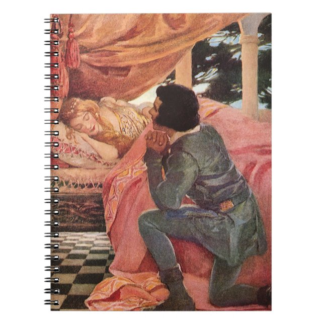 Carnet Beauté vintage du sommeil par Jessie Willcox Smith (Devant)