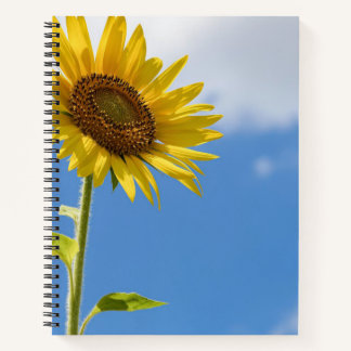 Carnet beautiful sun flowers witcloudy sky