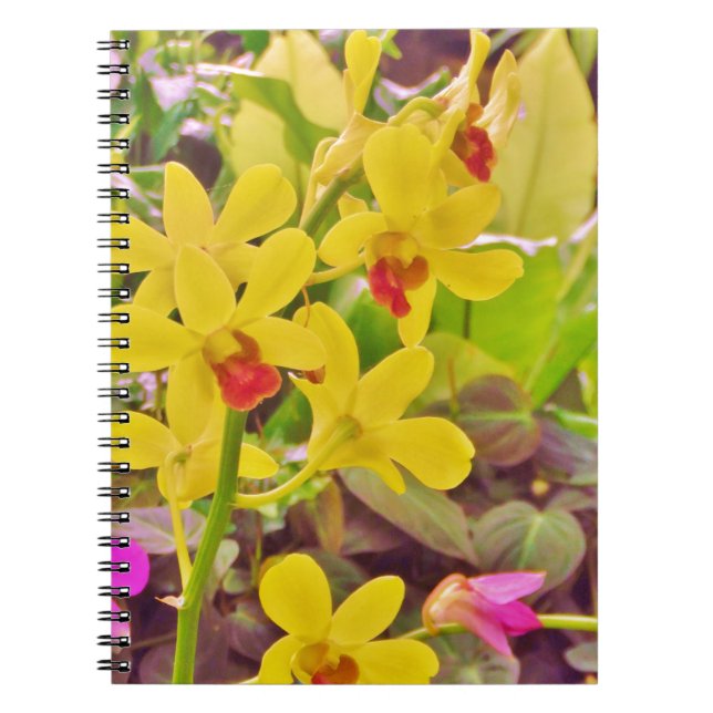 Carnet Beautiful Yellow autumn (Devant)