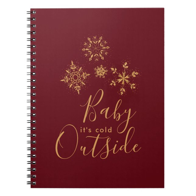 Carnet Bébé c'est froid dehors Golden Snowflakes (Devant)
