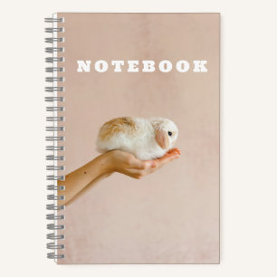 Carnet Bébé mignon lapin lapin