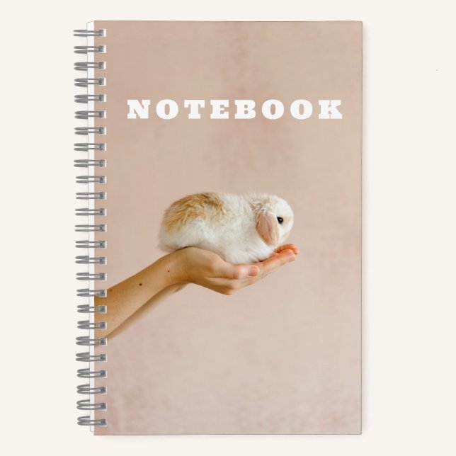 Carnet Bébé mignon lapin lapin (Recto)