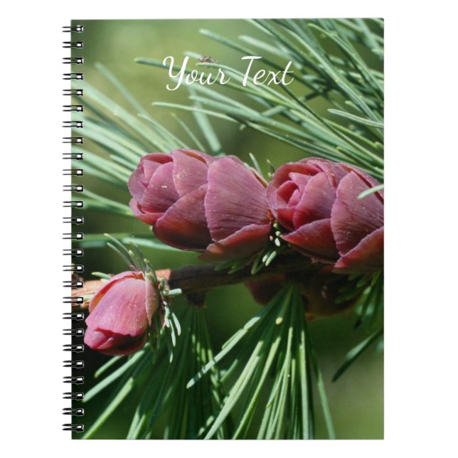 Carnet Bébé Miniature Pine Cônes Nature (Devant)