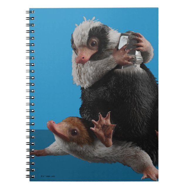 Carnet Bébé Nifflers Trouve Un Prix (Devant)