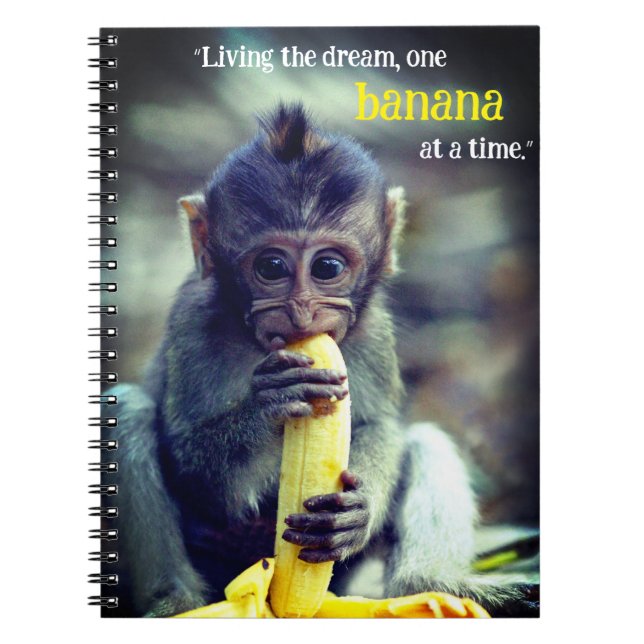 Carnet Bébé Singe Manger Banane (Devant)