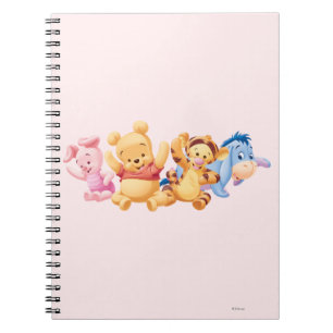 Carnet Bébé Winnie l'Ooh et les amis