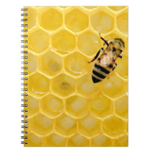 Carnet bee and honeycomb