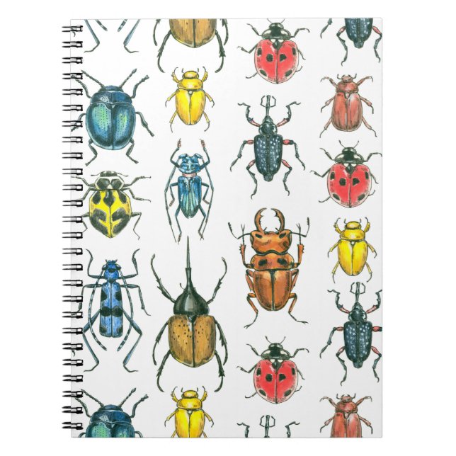 Carnet Beetles (Devant)