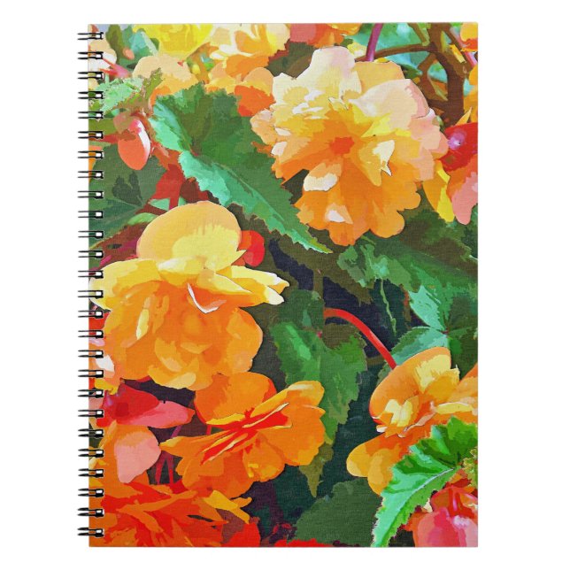 CARNET BEGONIAS (Devant)