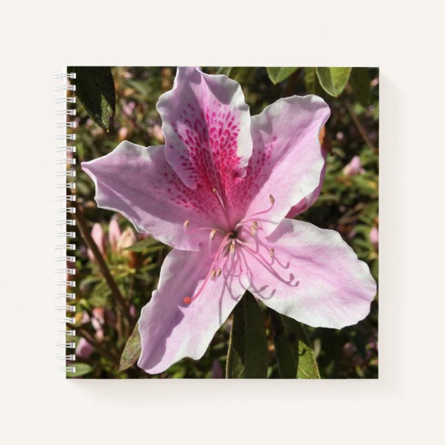 Carnet Belle Azalea Rose (Devant)