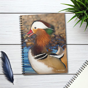 Carnet Belle Chatty Mandarin Canard à l'étang