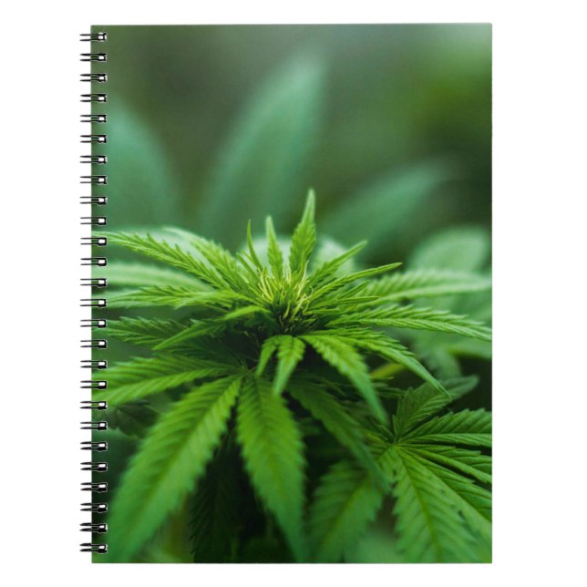 Carnet Belle mauvaise herbe (Devant)