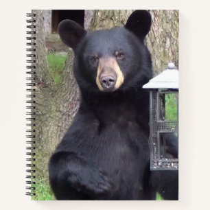 Carnet Belle Ours Noir
