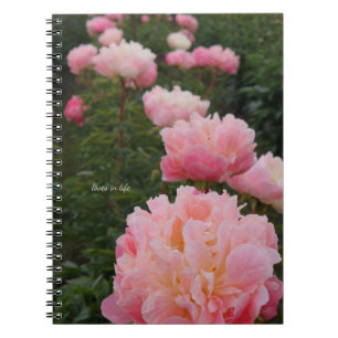 Carnet Belle rangée de pivoines roses