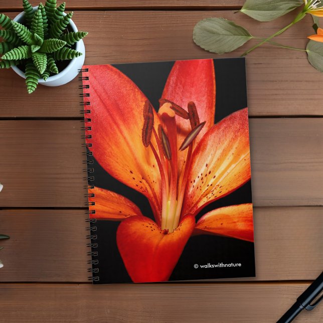 Carnet Belle Rouge Orange Asiatique Lily Gran Paradiso (Red-Orange Asiatic Lily Gran Paradiso Journal Cover Photo)