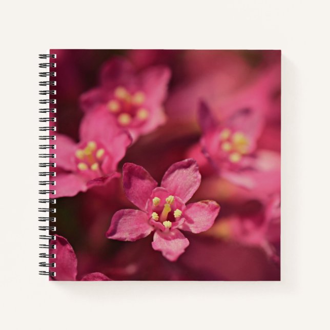 Carnet Belles Fleurs Roses (Devant)
