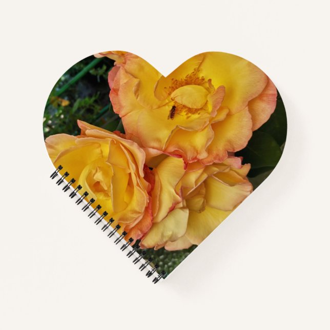 Carnet Belles roses et insectes jaunes (Devant)