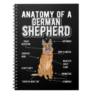 Carnet Berger allemand anatomie drôle chien