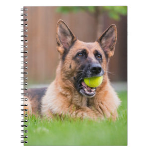 Carnet Berger Allemand Avec Bal De Tennis