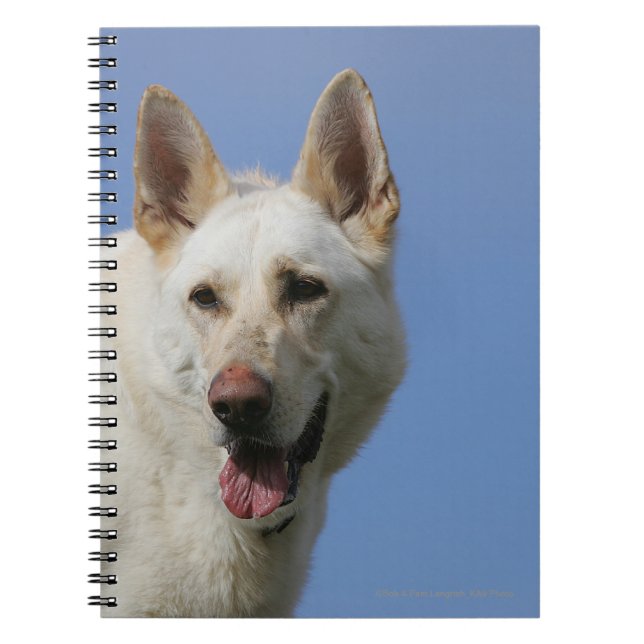 Carnet Berger allemand blanc (Devant)