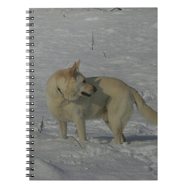 Carnet Berger allemand blanc dans la neige (Devant)