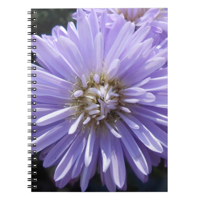 Carnet Berlinette (Devant)