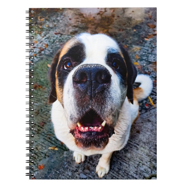 Carnet Bernhadine (Devant)