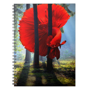 Carnet Betta Fish
