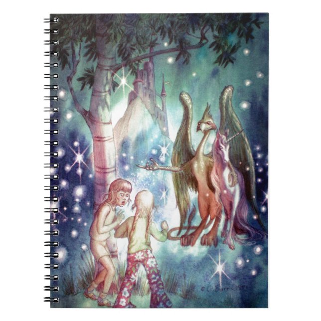 Carnet Bienvenue à Fairyland (Devant)