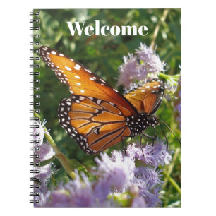 Carnet Bienvenue Monarch Butterfly Photo Commentaire de l